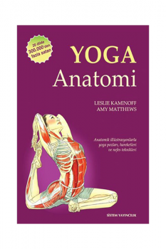 Yoga Anatomi