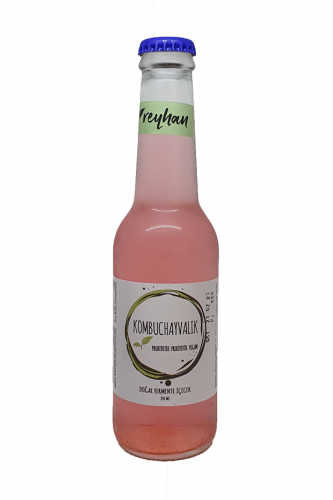 Kombucha Reyhanlı