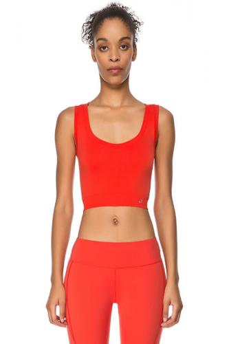 Linden Crop Top